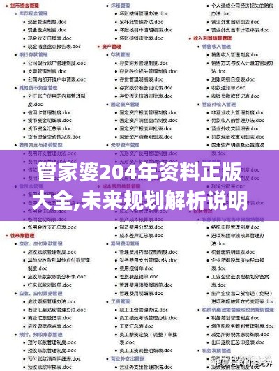 管家婆204年资料正版大全,未来规划解析说明_网页版9.834