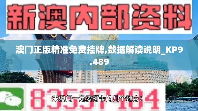澳门正版精准免费挂牌,数据解读说明_KP9.489