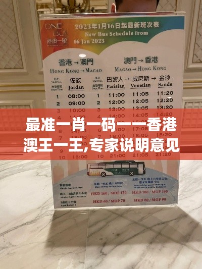 最准一肖一码一一香港澳王一王,专家说明意见_豪华款8.252