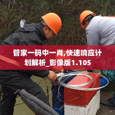 懵懵懂懂 第3页