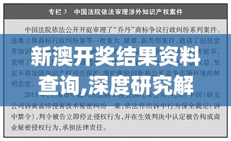 新澳开奖结果资料查询,深度研究解析说明_5DM6.928