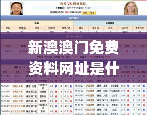 新澳澳门免费资料网址是什么纸,效率资料解释落实_精英版3.303