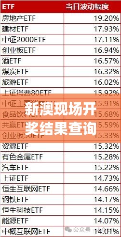 新澳现场开奖结果查询,前沿解答解释定义_移动版110.207