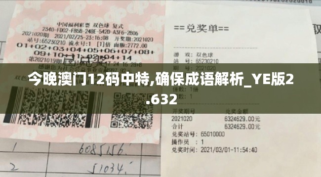 今晚澳门12码中特,确保成语解析_YE版2.632