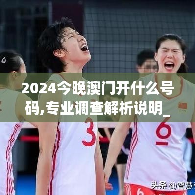 2024今晚澳门开什么号码,专业调查解析说明_L版9.435