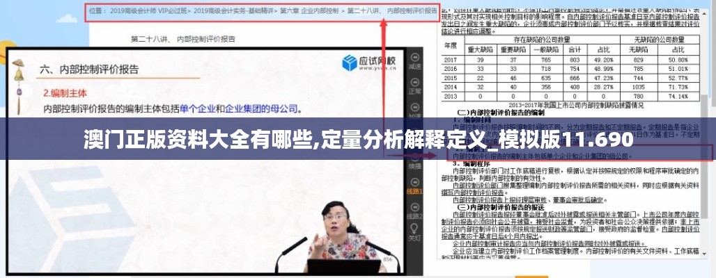 澳门正版资料大全有哪些,定量分析解释定义_模拟版11.690