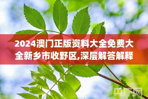 2024澳门正版资料大全免费大全新乡市收野区,深层解答解释落实_UHD款2.437