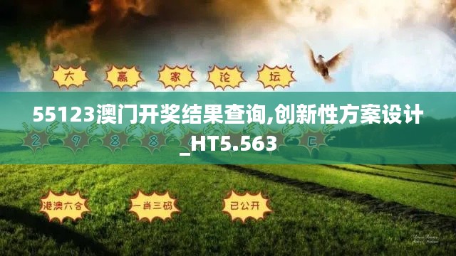 55123澳门开奖结果查询,创新性方案设计_HT5.563