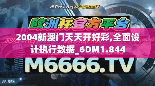 2004新澳门天天开好彩,全面设计执行数据_6DM1.844
