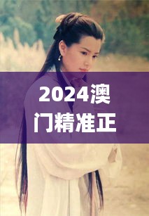 2024澳门精准正版资料小龙女,诠释解析落实_SP2.482