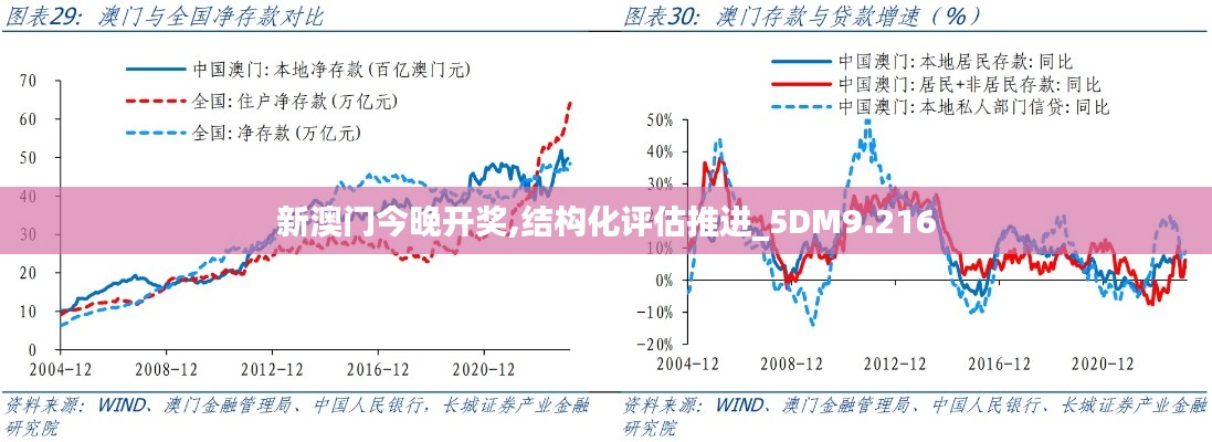 新澳门今晚开奖,结构化评估推进_5DM9.216
