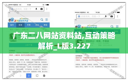 广东二八网站资料站,互动策略解析_L版3.227