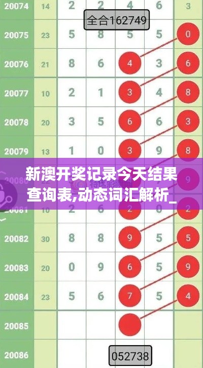 新澳开奖记录今天结果查询表,动态词汇解析_Plus2.296