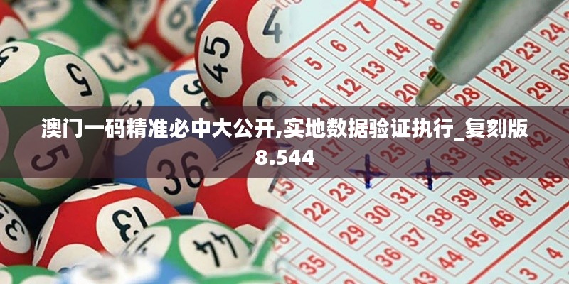澳门一码精准必中大公开,实地数据验证执行_复刻版8.544