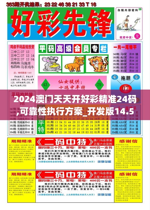 2024澳门天天开好彩精准24码,可靠性执行方案_开发版14.569