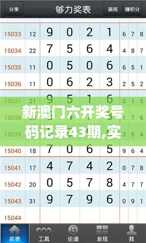 新澳门六开奖号码记录43期,实地评估解析说明_V29.855