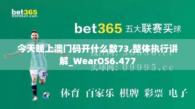 今天晚上澳门码开什么数73,整体执行讲解_WearOS6.477