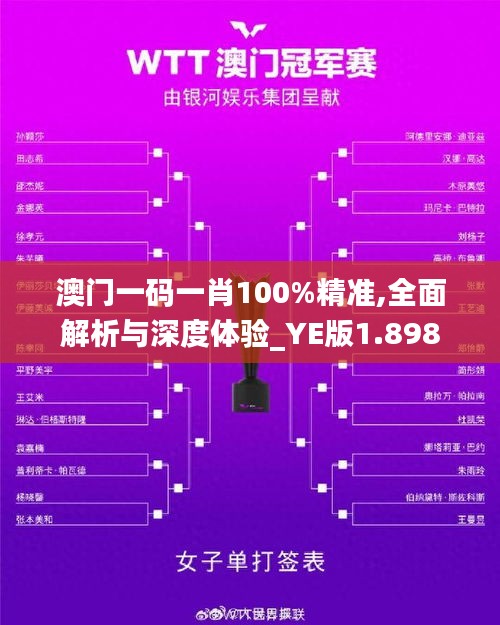 澳门一码一肖100%精准,全面解析与深度体验_YE版1.898