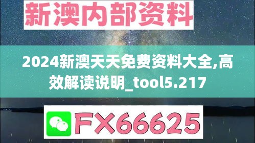 2024新澳天天免费资料大全,高效解读说明_tool5.217