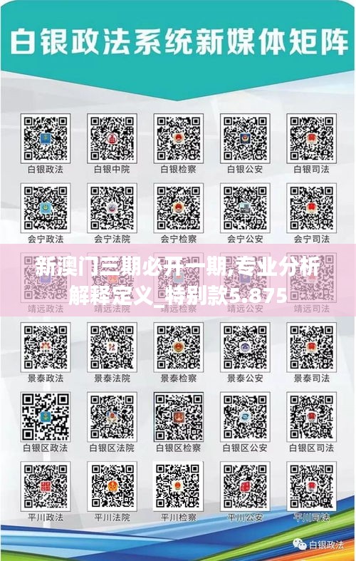 新澳门三期必开一期,专业分析解释定义_特别款5.875