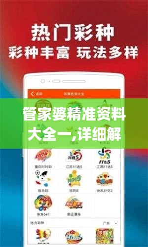 管家婆精准资料大全一,详细解读解释落实_Mixed8.237