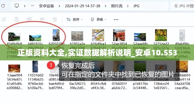 正版资料大全,实证数据解析说明_安卓10.553