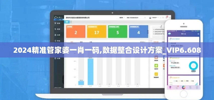 2024精准管家婆一肖一码,数据整合设计方案_VIP6.608