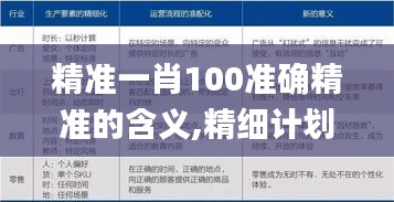 精准一肖100准确精准的含义,精细计划化执行_策略版10.522