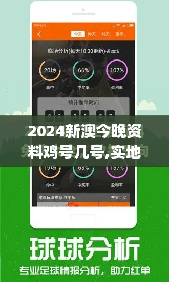 2024新澳今晚资料鸡号几号,实地说明解析_轻量版6.572