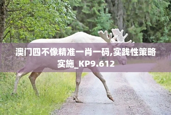 澳门四不像精准一肖一码,实践性策略实施_KP9.612