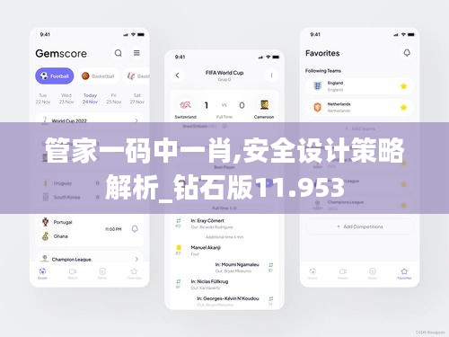 管家一码中一肖,安全设计策略解析_钻石版11.953