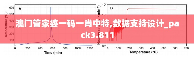 澳门管家婆一码一肖中特,数据支持设计_pack3.811