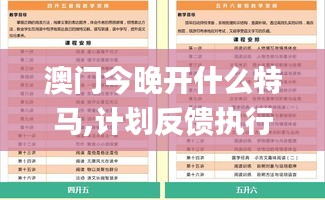 澳门今晚开什么特马,计划反馈执行_专属款7.236