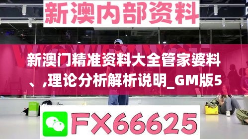 新澳门精准资料大全管家婆料、,理论分析解析说明_GM版5.380