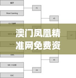 澳门凤凰精准网免费资料网,灵活操作方案设计_T2.270