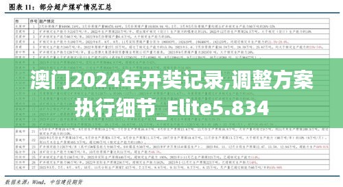 澳门2024年开奘记录,调整方案执行细节_Elite5.834