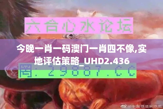今晚一肖一码澳门一肖四不像,实地评估策略_UHD2.436