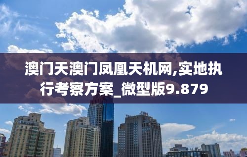 澳门天澳门凤凰天机网,实地执行考察方案_微型版9.879