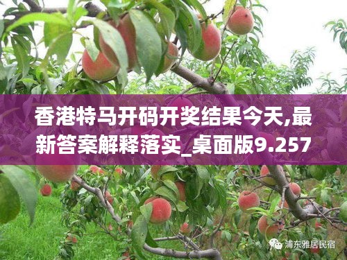 香港特马开码开奖结果今天,最新答案解释落实_桌面版9.257