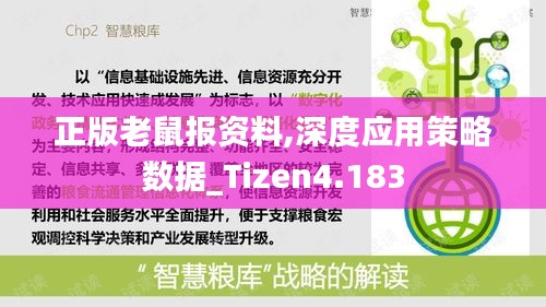 正版老鼠报资料,深度应用策略数据_Tizen4.183