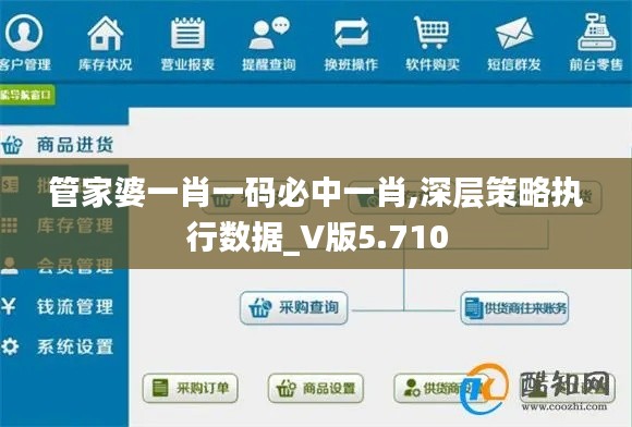 管家婆一肖一码必中一肖,深层策略执行数据_V版5.710