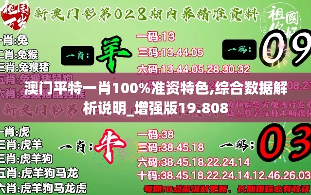 澳门平特一肖100%准资特色,综合数据解析说明_增强版19.808