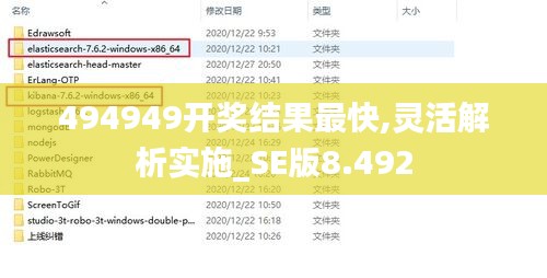494949开奖结果最快,灵活解析实施_SE版8.492