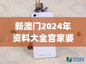 新澳门2024年资料大全宫家婆,高效性计划实施_桌面版2.521