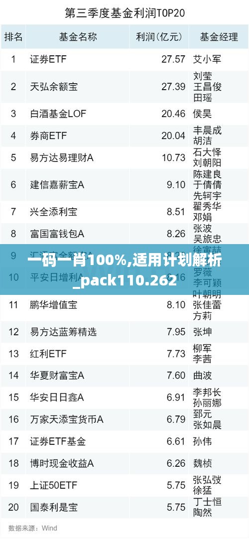 一码一肖100%,适用计划解析_pack110.262