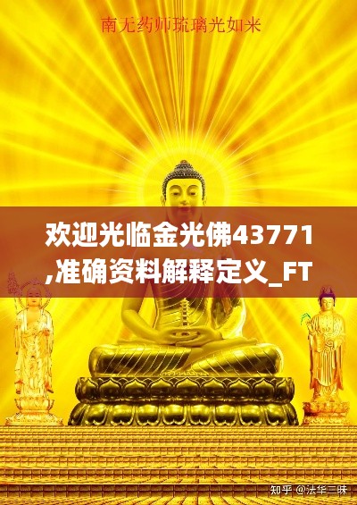 欢迎光临金光佛43771,准确资料解释定义_FT3.161