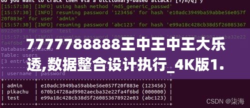 7777788888王中王中王大乐透,数据整合设计执行_4K版1.893