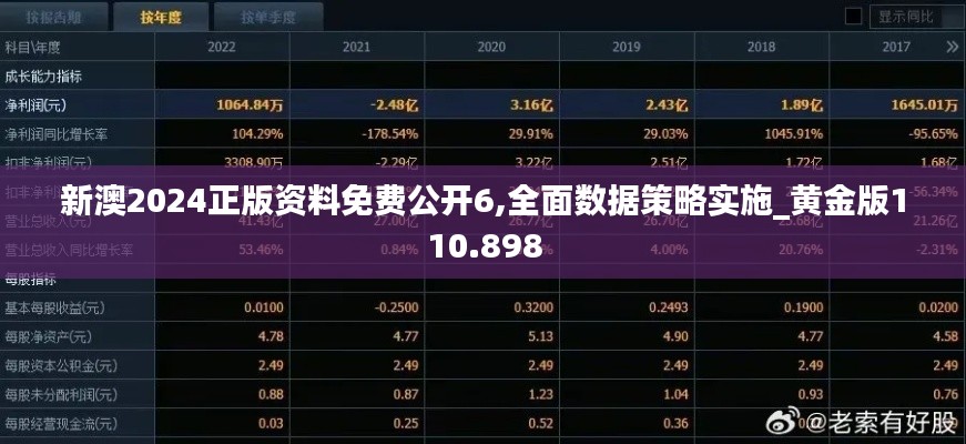 新澳2024正版资料免费公开6,全面数据策略实施_黄金版110.898