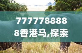 7777788888香港马,探索与解析_4DM16.932
