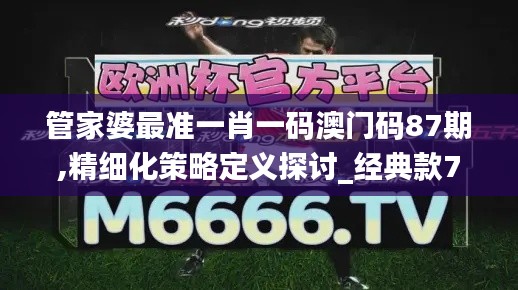 管家婆最准一肖一码澳门码87期,精细化策略定义探讨_经典款7.165